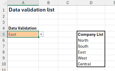 Screenshot of Data validation list