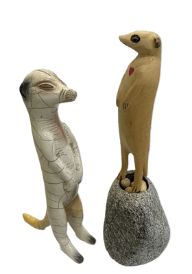 Meerkats